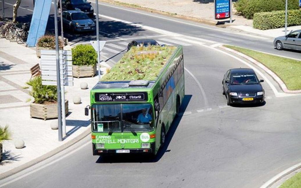 "Зелений автобус" може стати порятунком від глобального потепління / © Afisha.bigmir.net