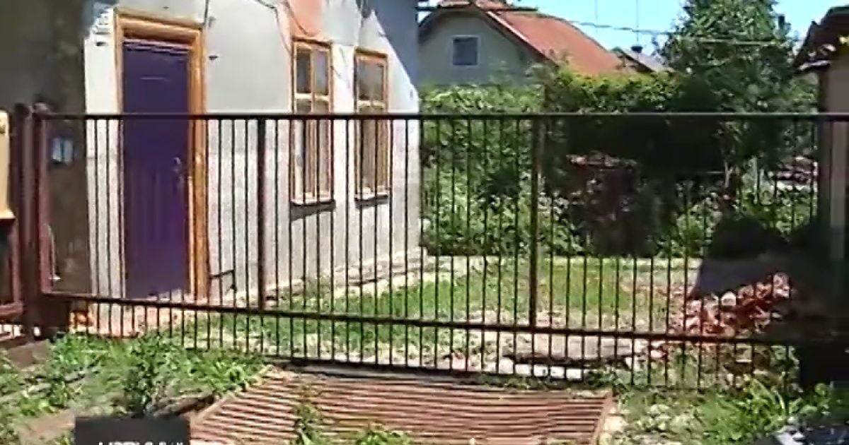 Директор ліцею каже, що не експлуатував учнів на своїй дачі
