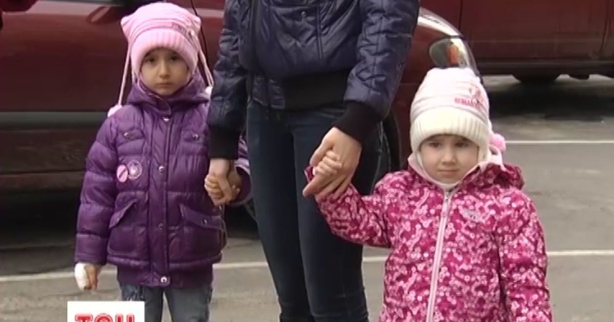 Собака тероризує Вишгород.