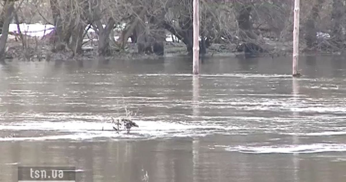 На мосту з води стирчать лише маківки дорожніх знаків