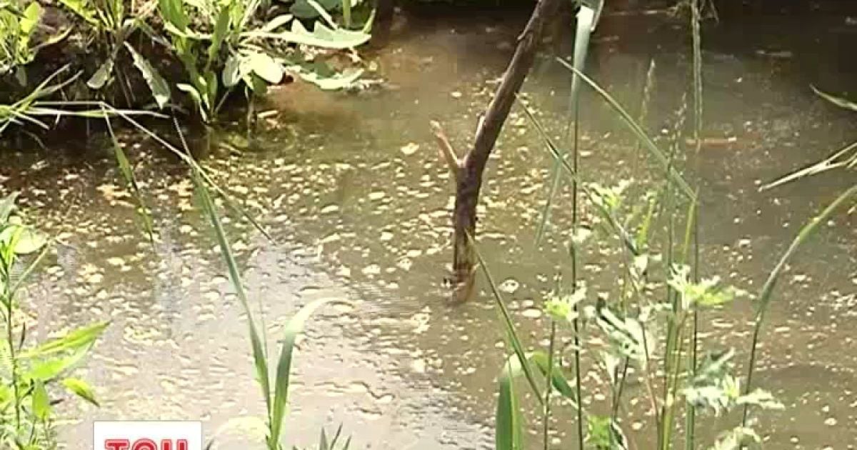 На Луганщині люди залишилися без питної води