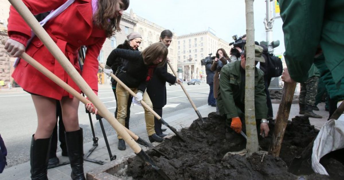 У Києві стало традицією кожні 2 роки "закопувати" бюджетні гроші під каштани