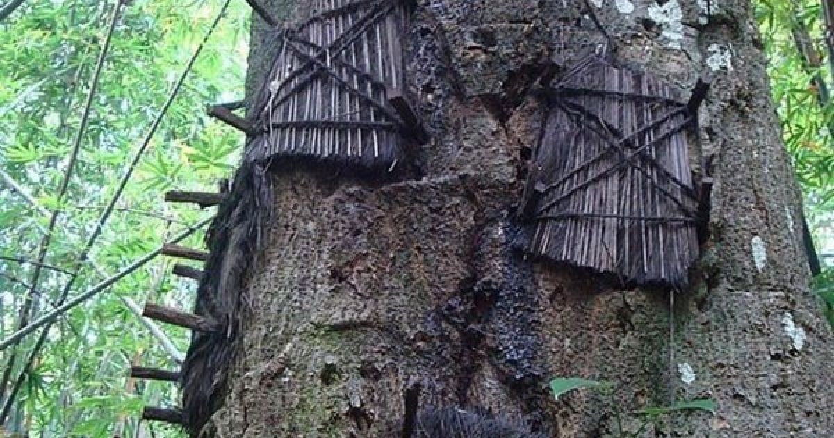 Мерці йдуть на цвинтар з чаклунами / © vsegda-tvoj.livejournal.com