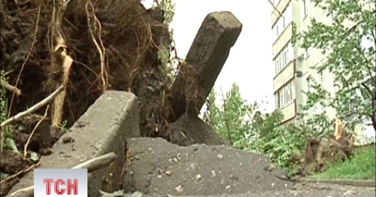 Вітер був такої сили, що дерева виривало з корінням