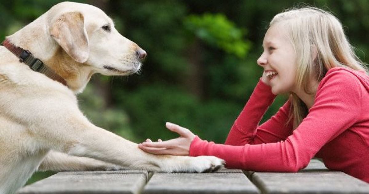 Люди зможуть без проблем розмовляти з тваринами.