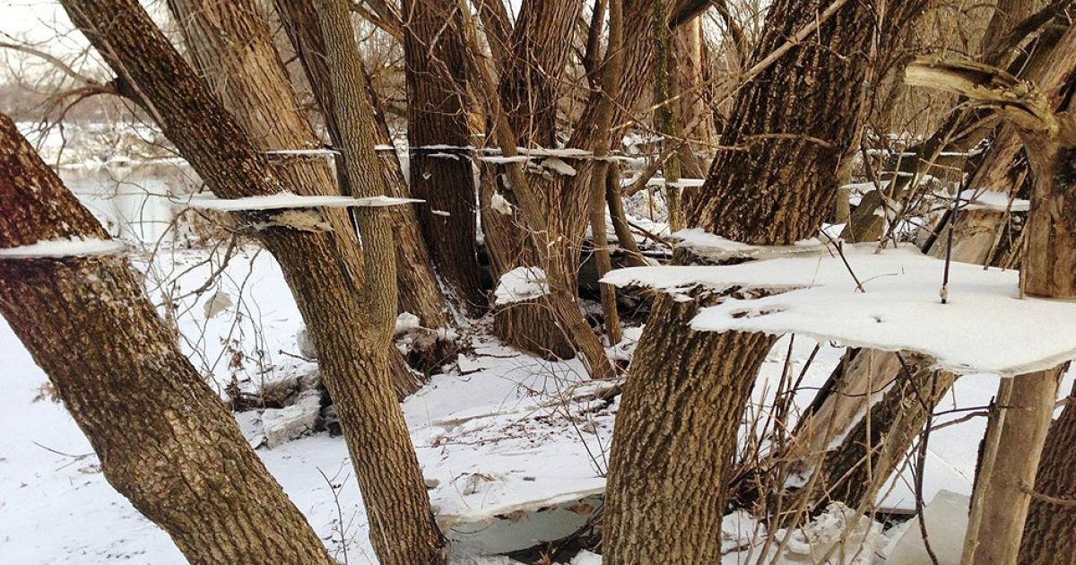 Найкращі фото першої половини 2013 року / © bigpicture.ru