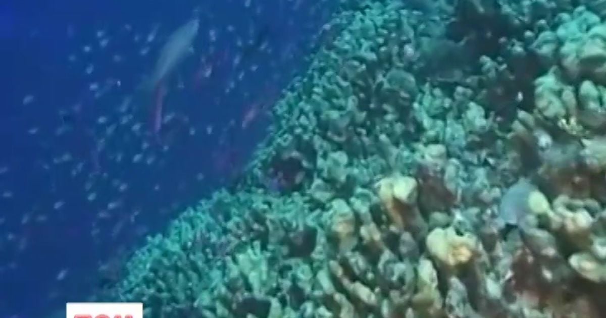 Літаки не зуміли зайти на ціль.