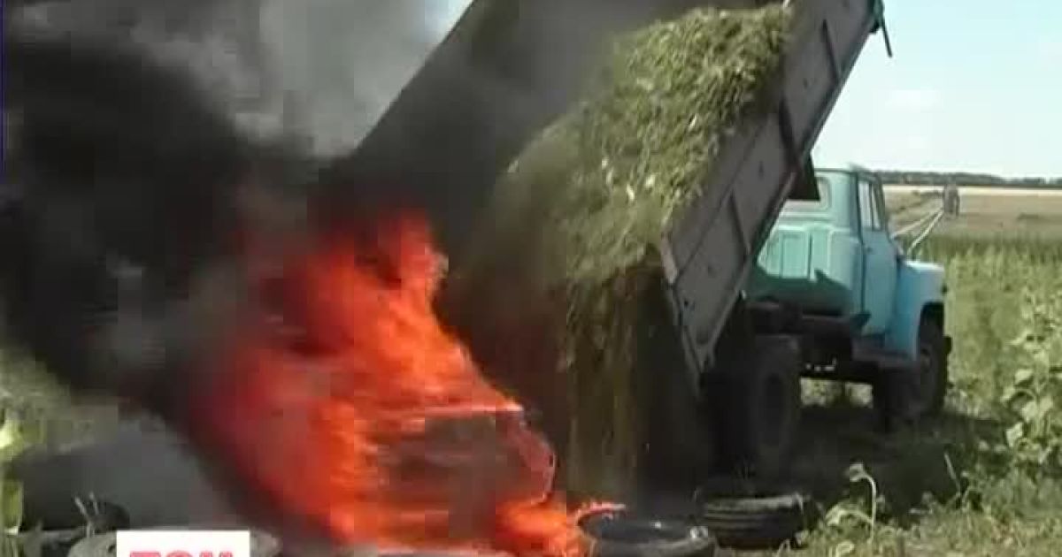 Випуск ТСН.Ранок за 12 липня 2013 року