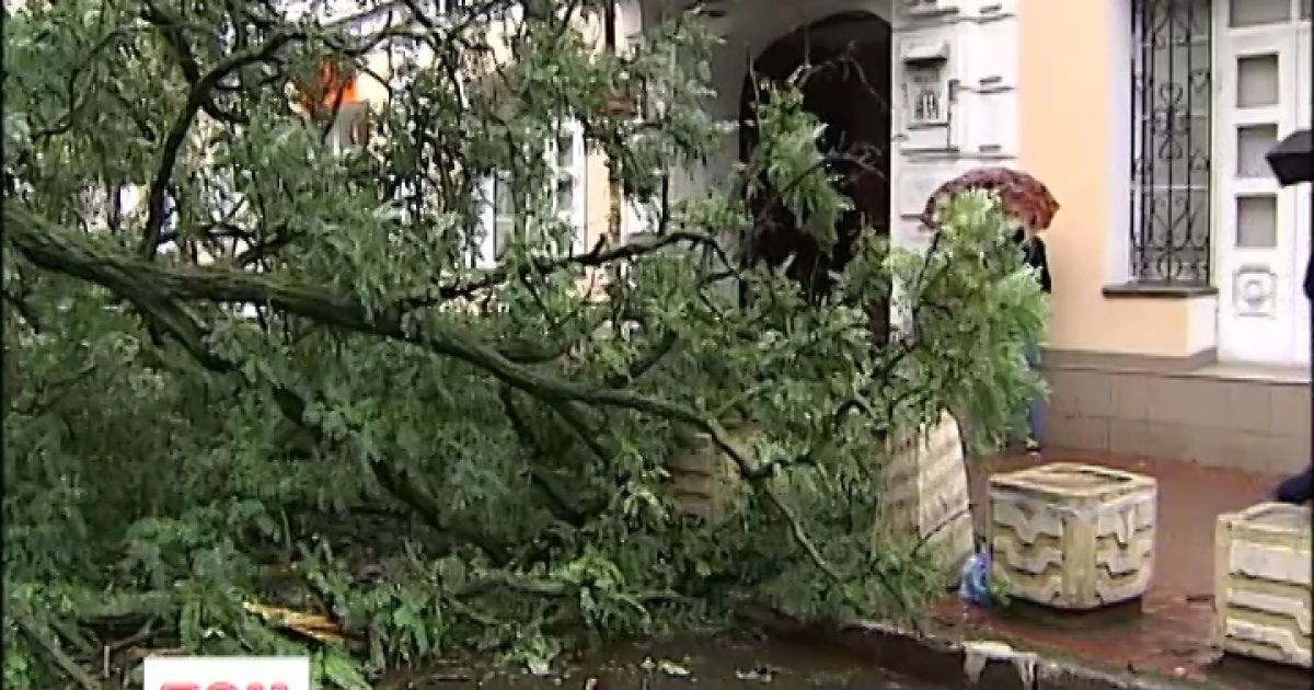 Дерево перекрило жваву вулицю на Подолі