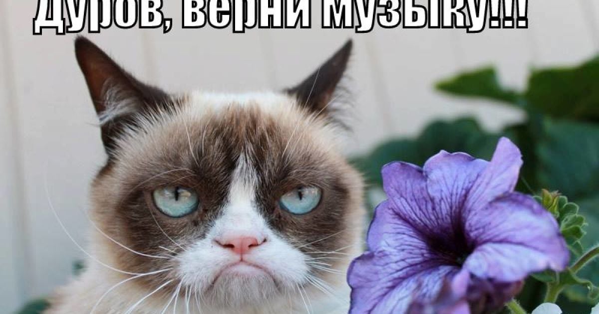 Фотожаби на масове видалення музики з ВКонтакте