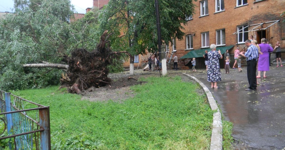 На Вінничині від негоди постраждали дерева та будинки / © gazeta.ua