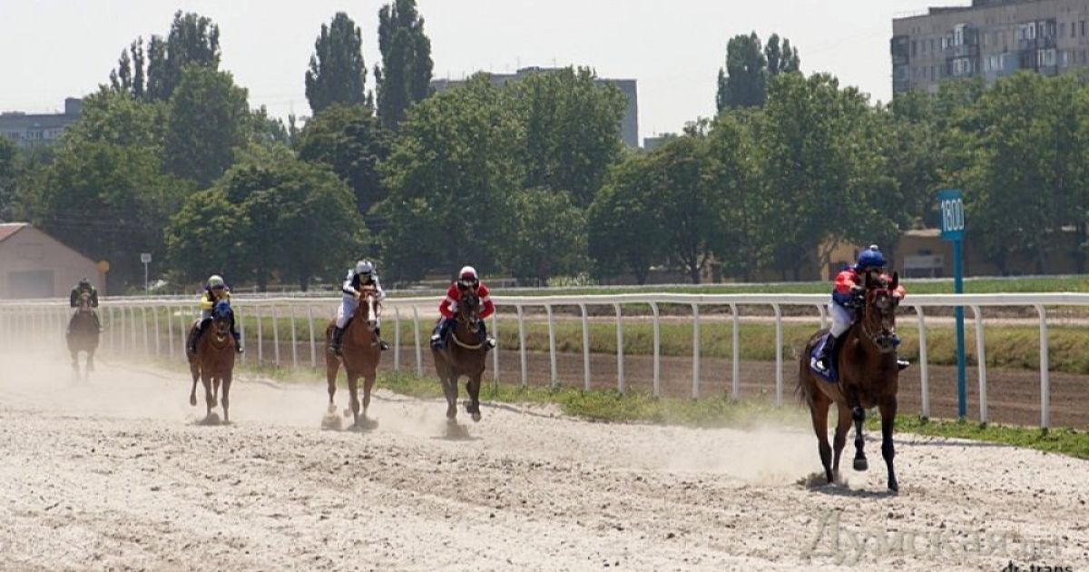 Одеський іподром відродився після десяти років бездіяльності. / © Думская.net