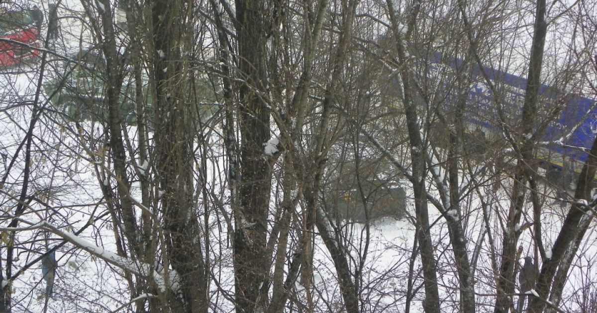 В Києві зі стихією воюють президентські БТРи / © facebook.com/skornilyuk
