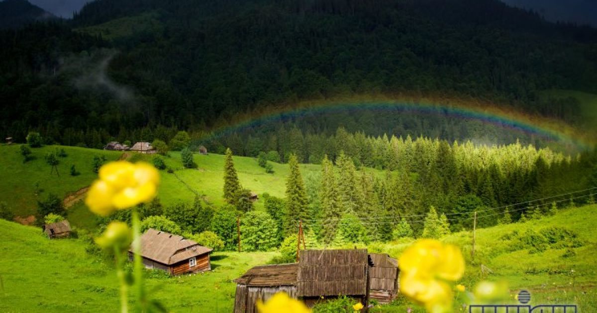 8% українців проведуть свою відпустку у Карпатах / © УНІАН