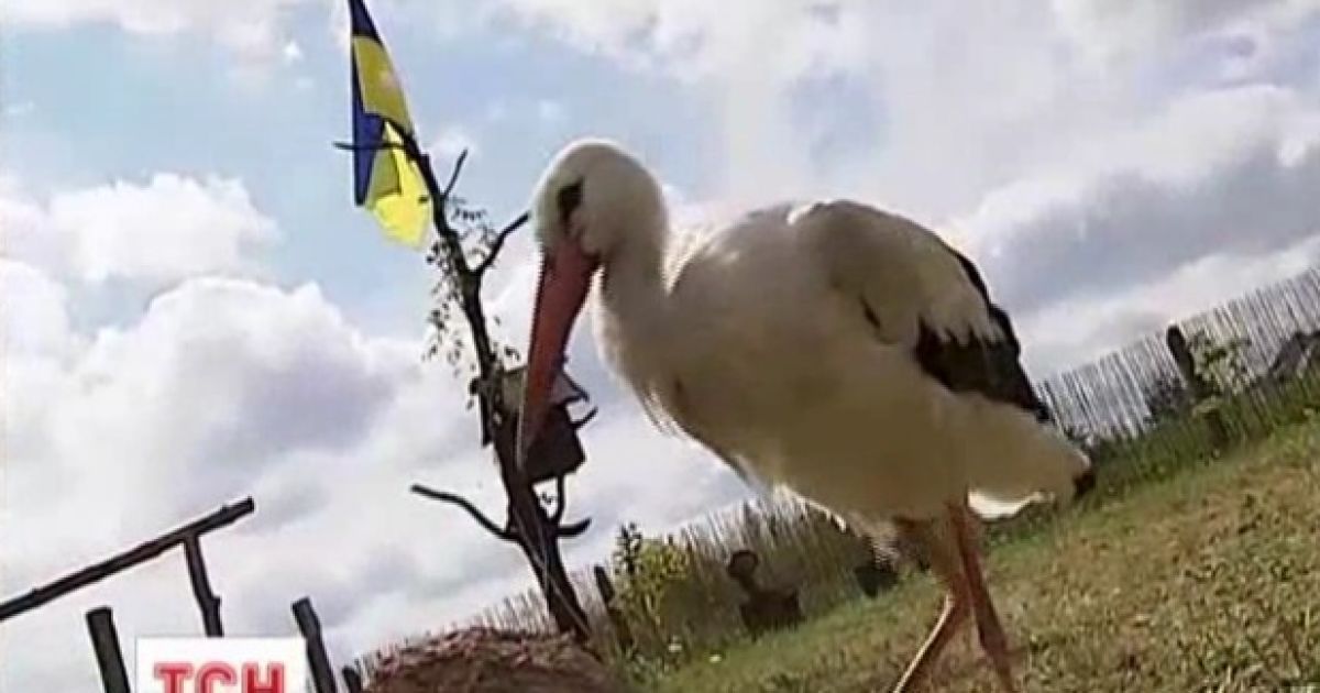 Чоловік перетворив смітник на розвагу для селян