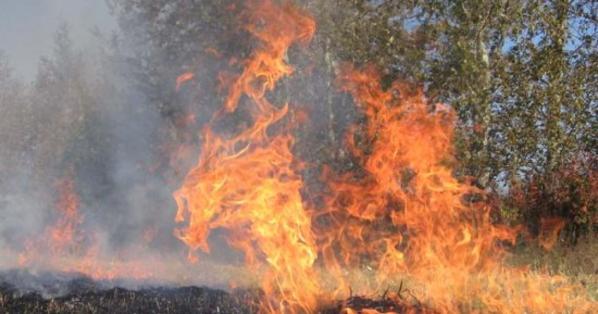 У Севастополі палає телевишка.