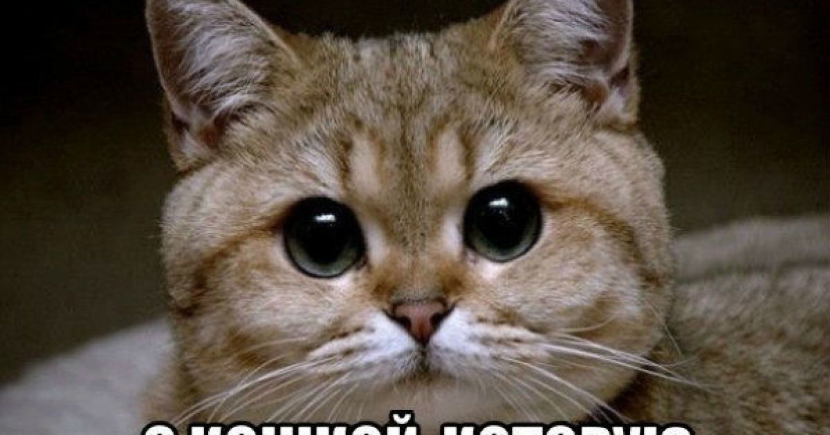 Інтернет сміється з малюнка Путіна
