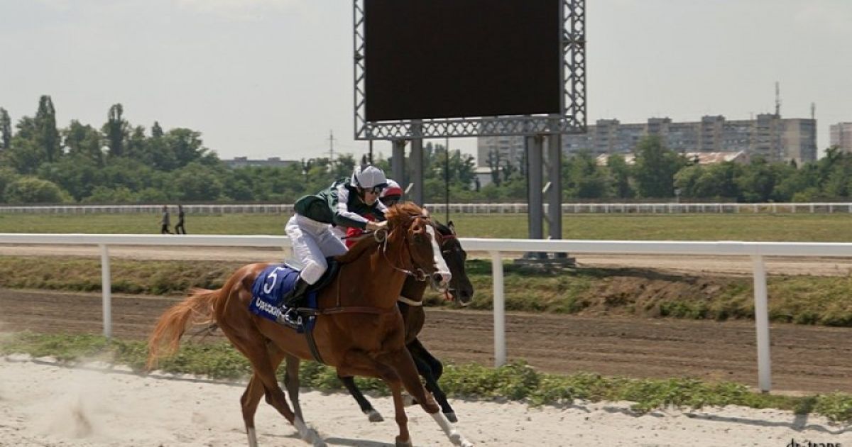 Одеський іподром відродився після десяти років бездіяльності. / © Думская.net