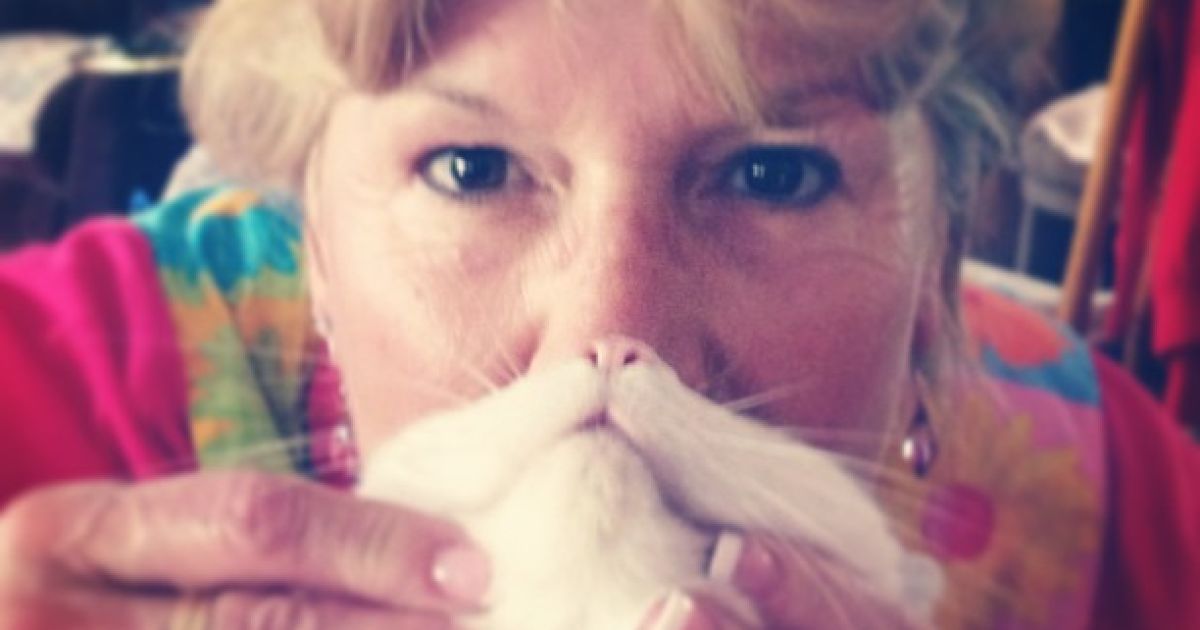 Котобороди - нове віяння в інтернеті / © Instagram