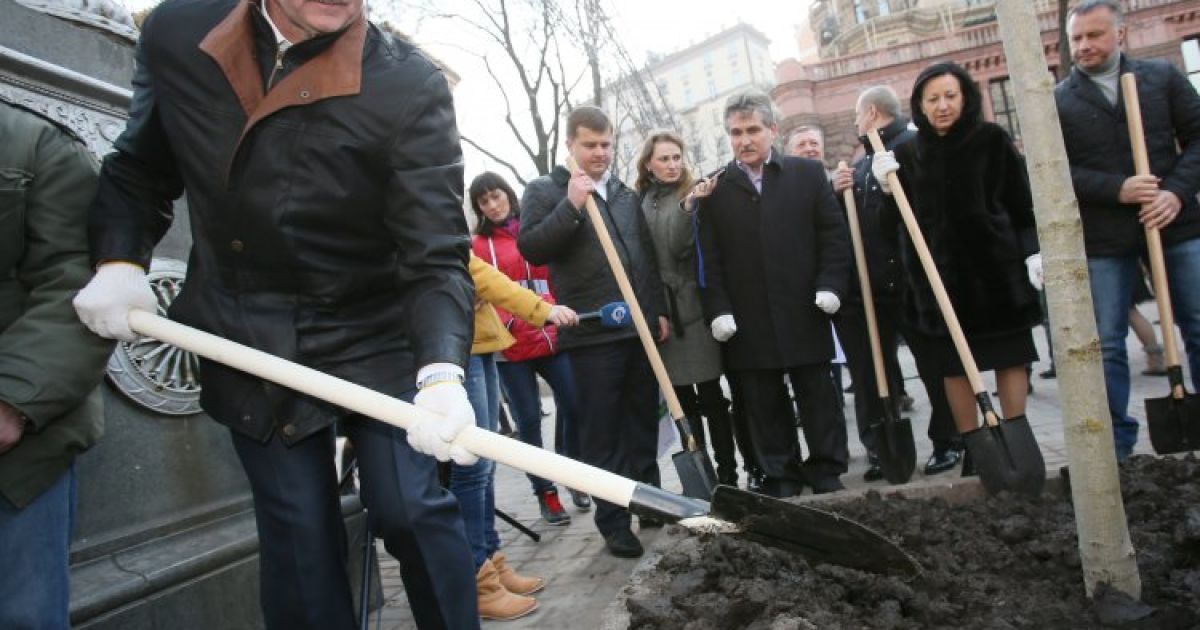 На Хрещатику тільки два дерева виявилися справжніми