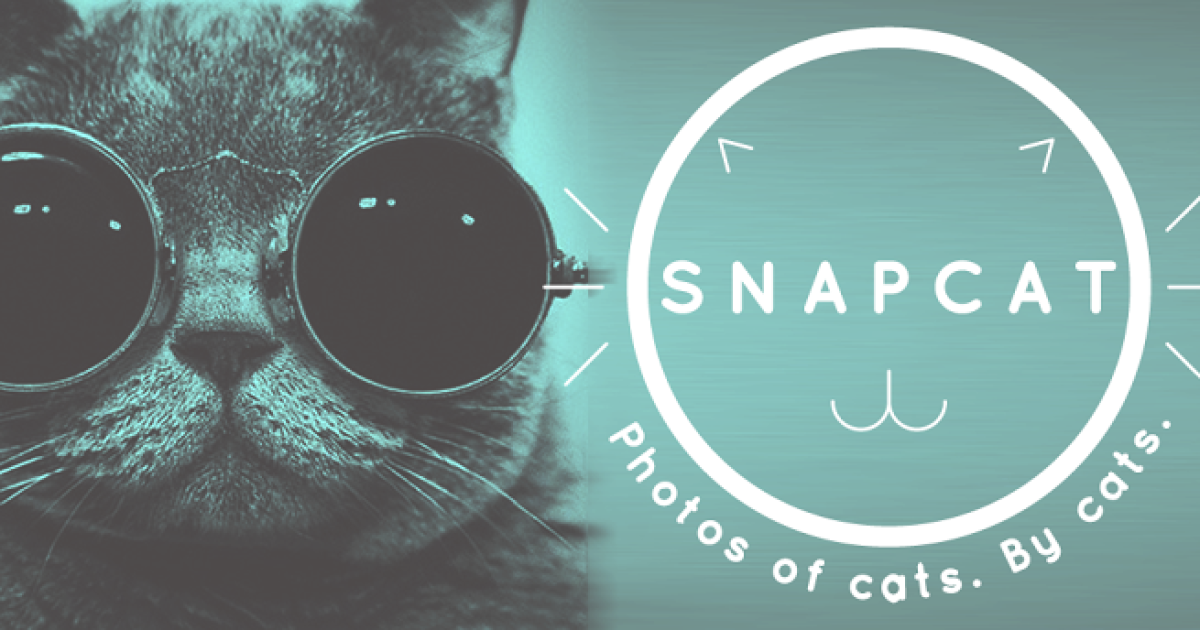 Snapcat