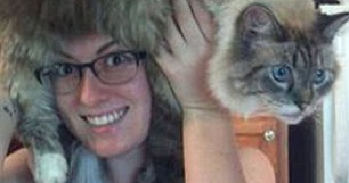 Перуки з котів / © The Daily Mail