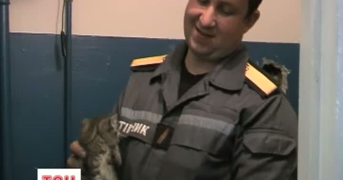 Рятувальники подарували життя маленькому котикові