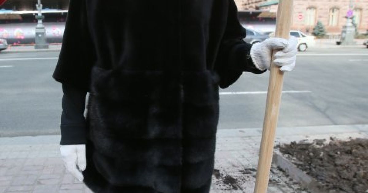 Попов з Герегою садили каштани в лакованому взутті / © УНІАН