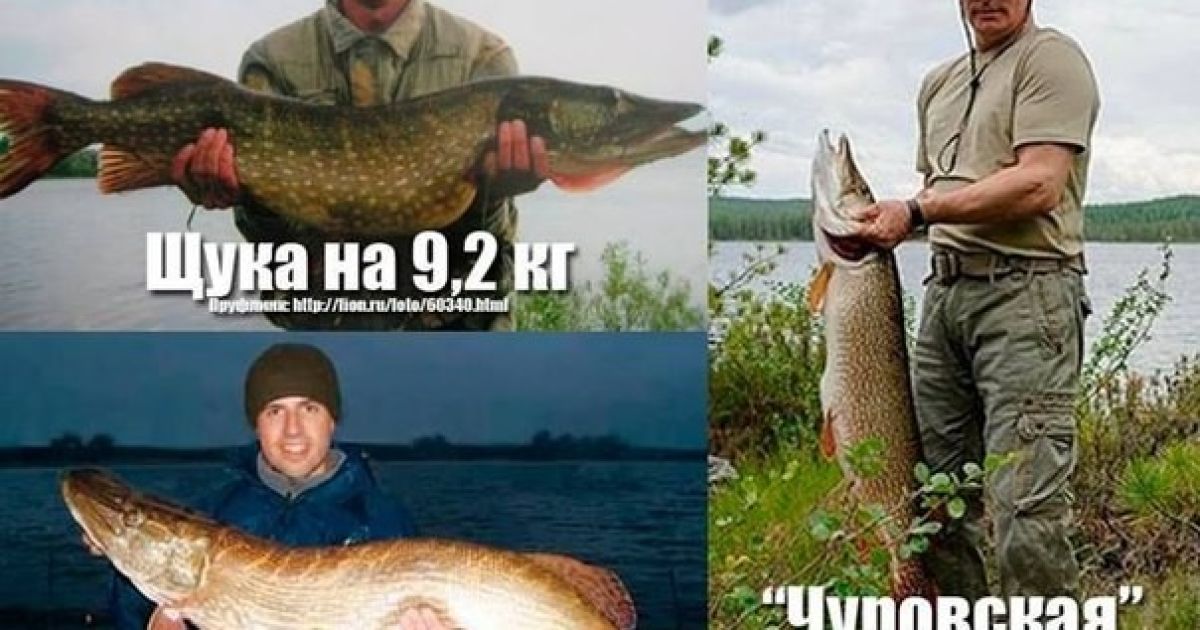 Фотожаби на риболовлю Путіна і Лукашенка