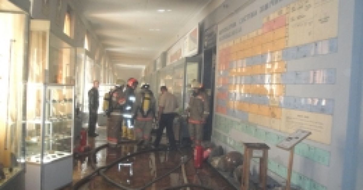 В цілому загинуло 30 тварин, а декілька змій встигли врятуватися.