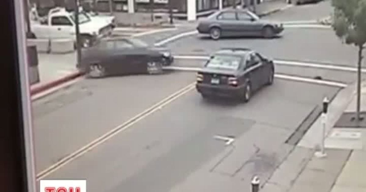 Пес урятував американців від небезпеки