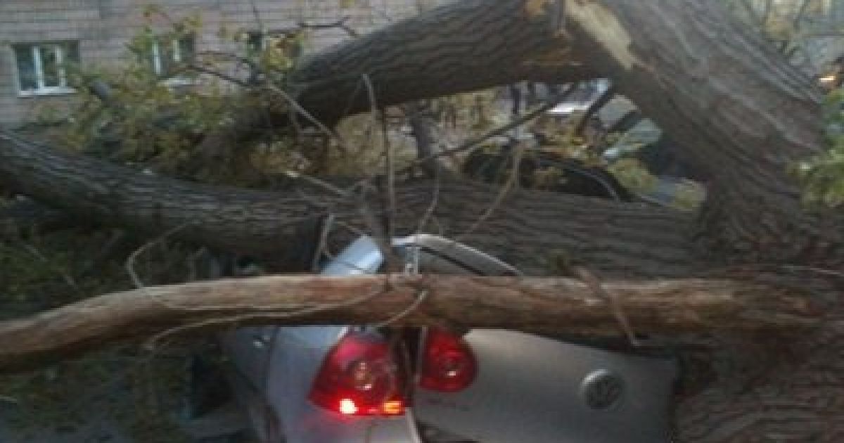 Дерево розчавило три авто на парковці