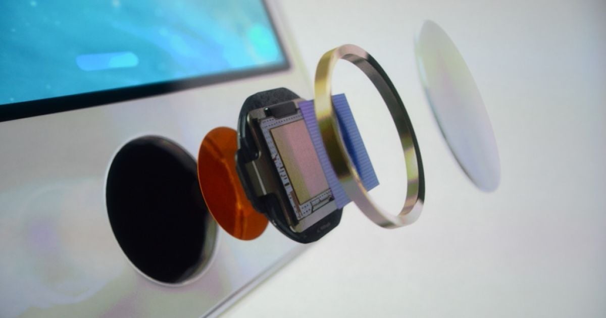 iPhone 5S / © The Verge