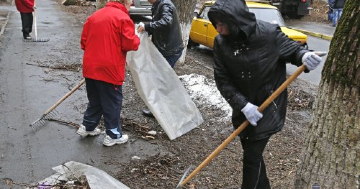 Чиновники з киянами саджали дерева і прибирали сміття