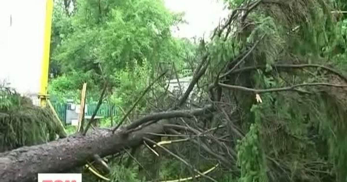 Україна страждає від негоди