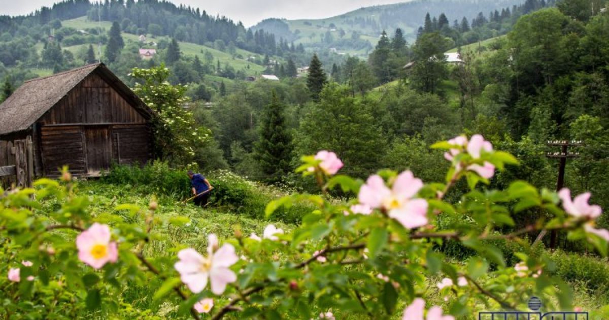 8% українців проведуть свою відпустку у Карпатах / © УНІАН