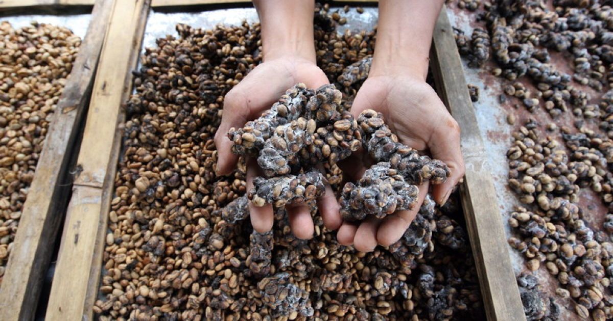 Чоловік наклав у штани в суді і сів за ґрати.