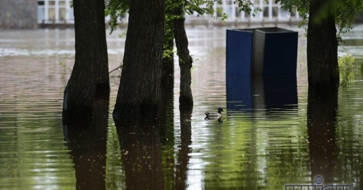 У Києві затопило територію Гідропарку / © УНІАН