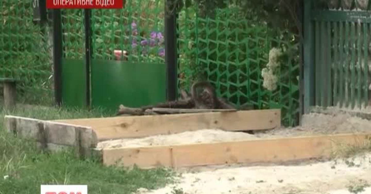 Выпуск ТСН.Ранок за 9 июля 2013 года