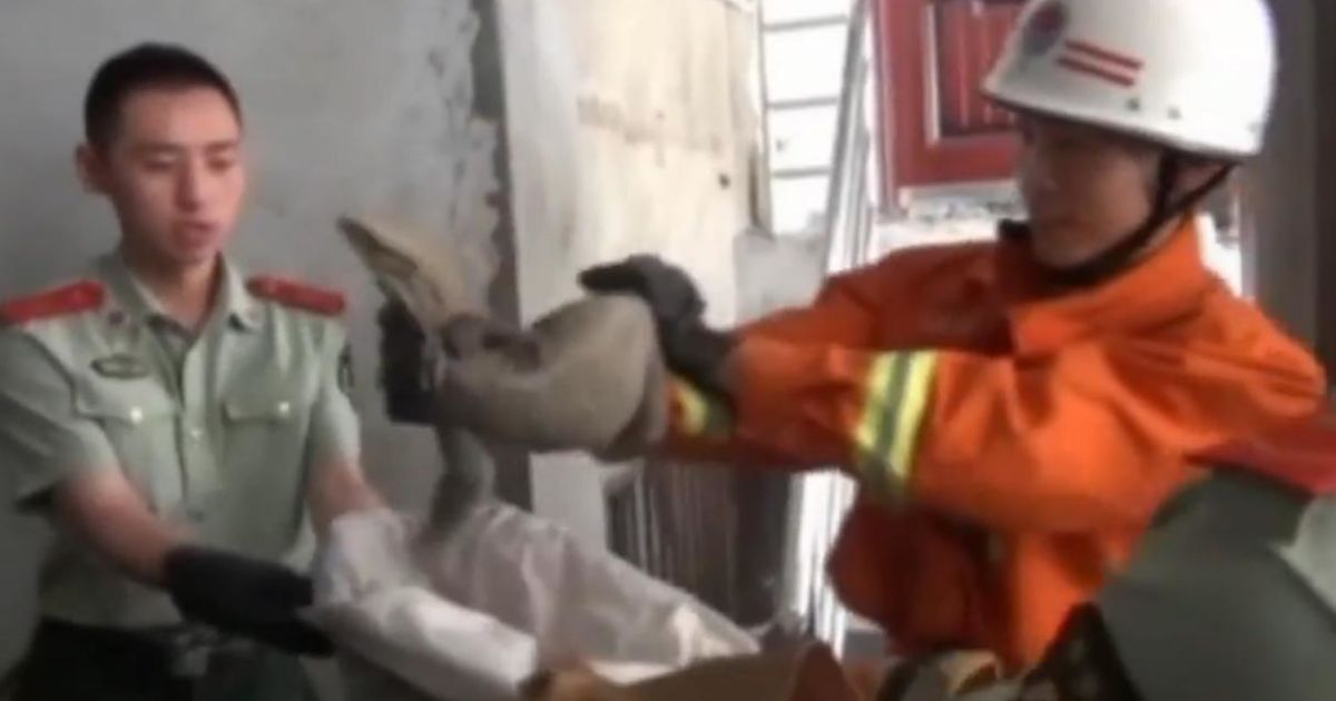 Китаянка піймала ящірку в своєму будинку