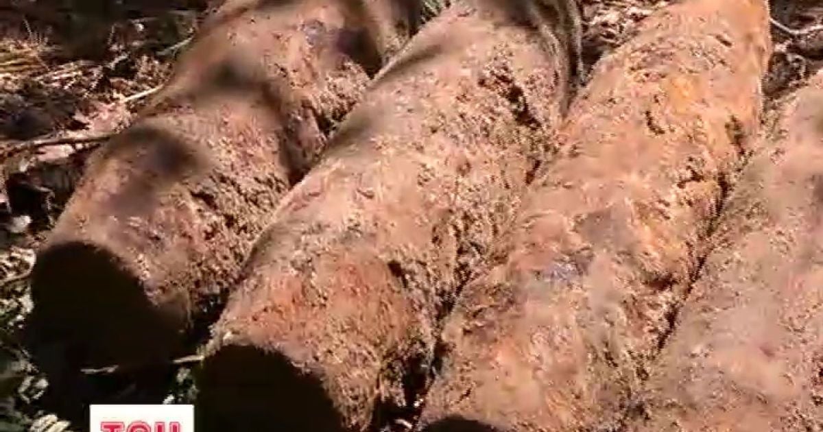 Поблизу Києва знайдені міни та снаряди часів Другої світової війни