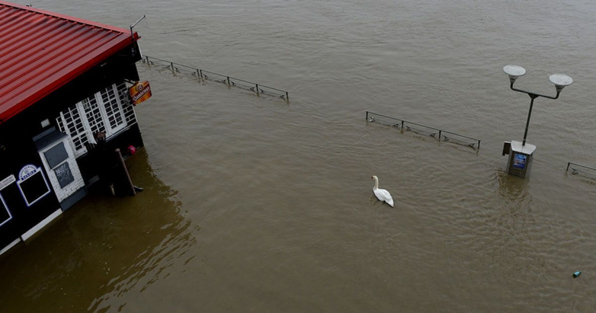 Затоплений ресторан на набережній річки Влтава в центрі Праги / © Фото EPA/UPG