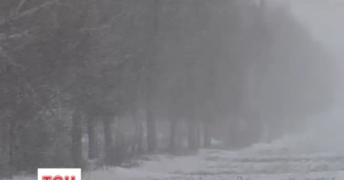 У центрі України сніжить