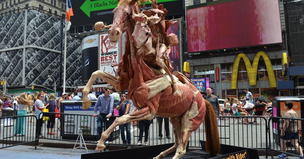 Експозиція Body Worlds