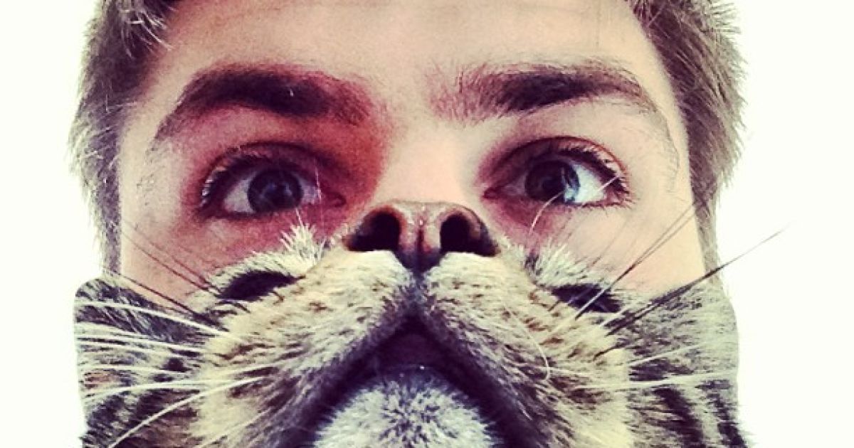 Котобороди - нове віяння в інтернеті / © Instagram