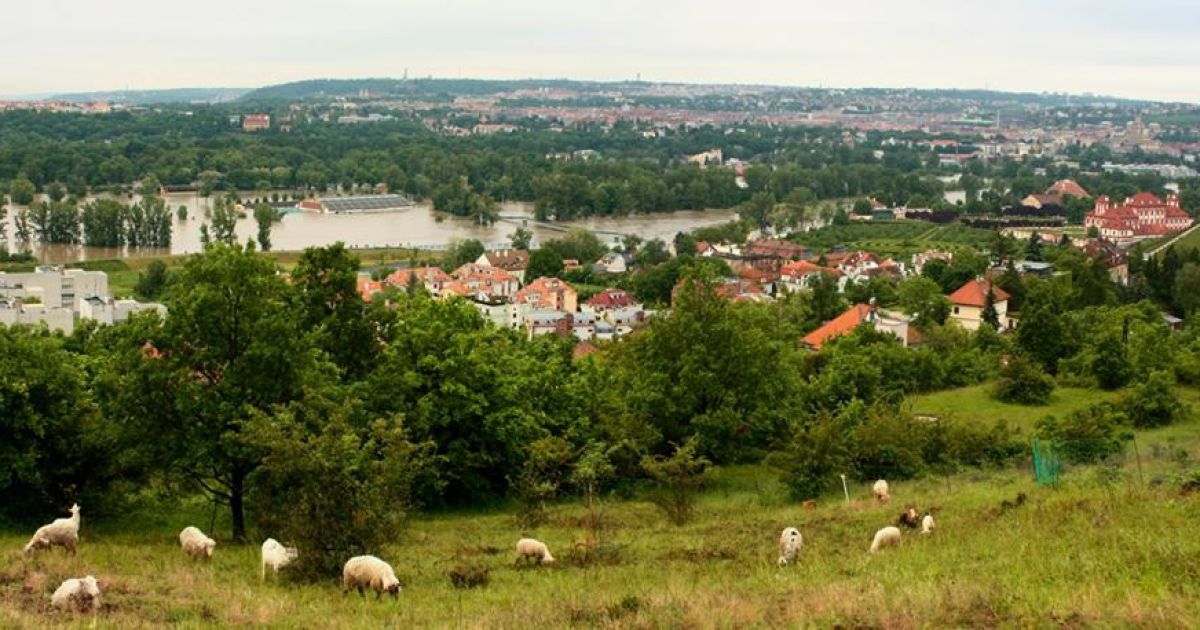 У Чехії пік повені рушив на північ / © facebook.com/Miluju Prahu