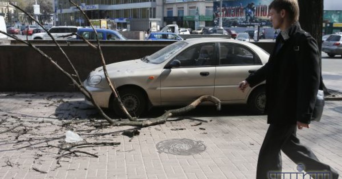 У автомобіля розбите лобове скло / © УНІАН