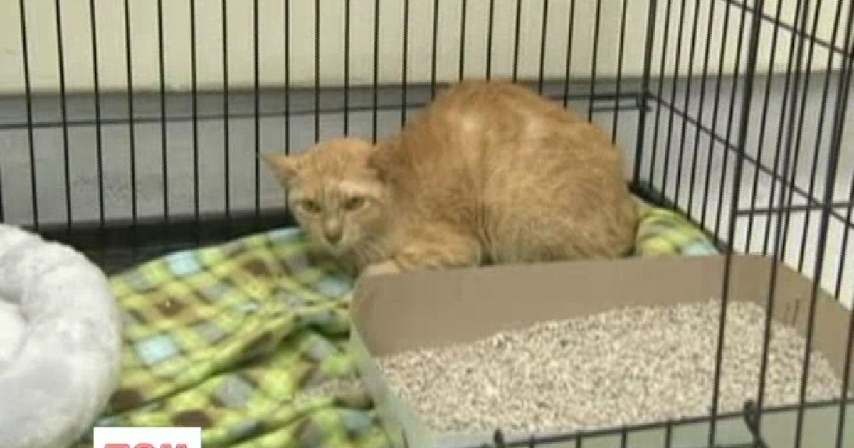 Філліпінка тепер живе в США