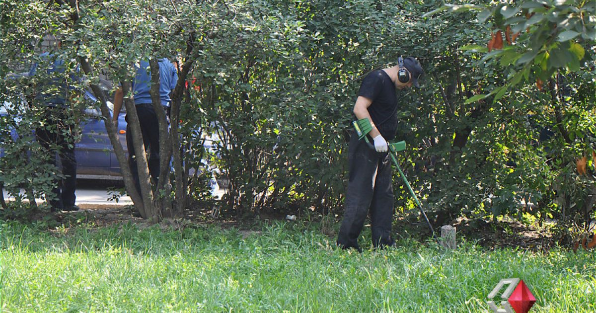 Напад на інкасаторську машину закінчився смертю трьох людей / © Преступности.НЕТ