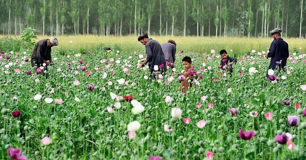 Афганські діти масово стають наркоманами і наркодилерами / © fototelegraf.ru